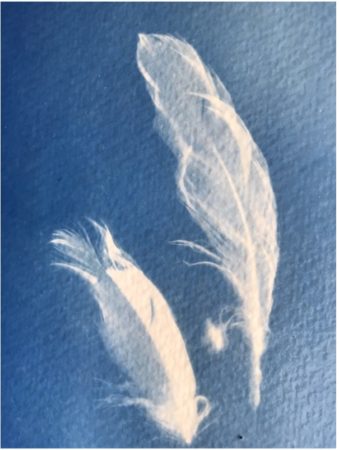 Photograph of two white feathers and a small white speck on a textured blue background.