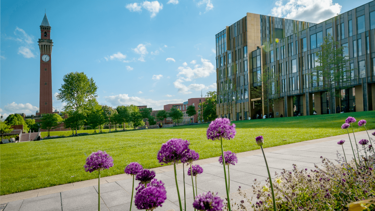 A landscape photograph of the Green Heart, in front of the library to the right and the red-bricked clocktower to the left. In the foreground are round purple flowers.