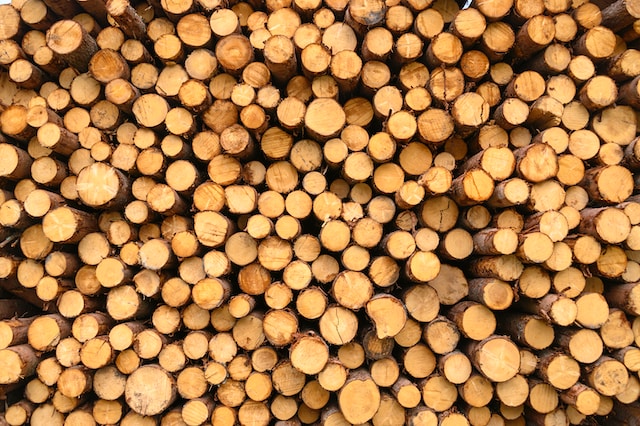 A large pile of cut logs