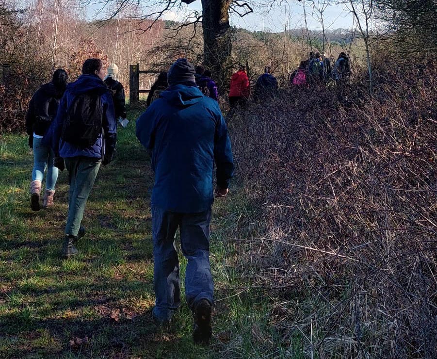 A photograph taken in April of ramblers walking through the forest past a single tree